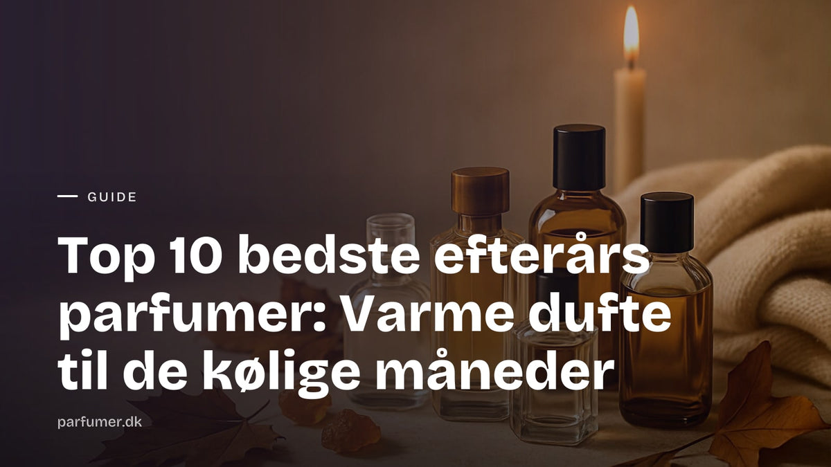 Ufarvede parfumeflasker af glas med rav og tørre efterårsblade på en sandfarvet overflade i blødt sidelys.