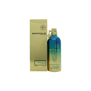Montale Aoud Lagoon Eau de Parfum 100ml Spray